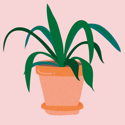 Happy Planting Device animation